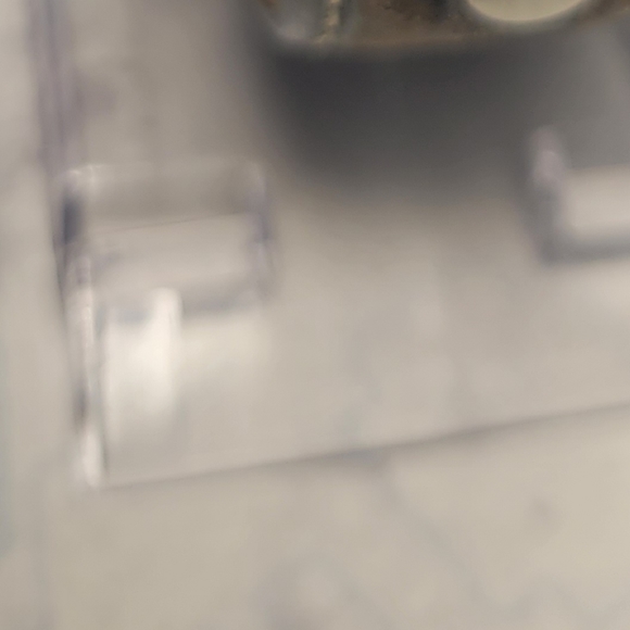 Fossil - Picture 12 of 16